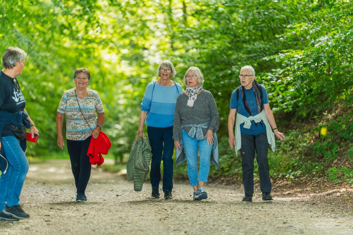 Vandreholdet Over Stok og Sten i Grund skov