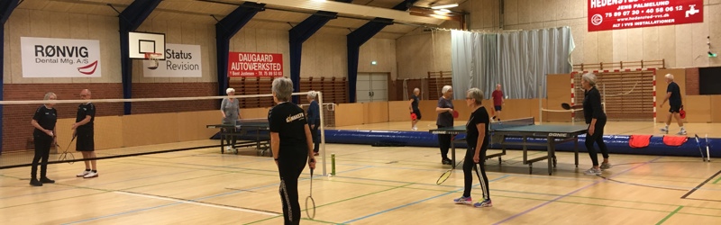 badminton og bordtennis