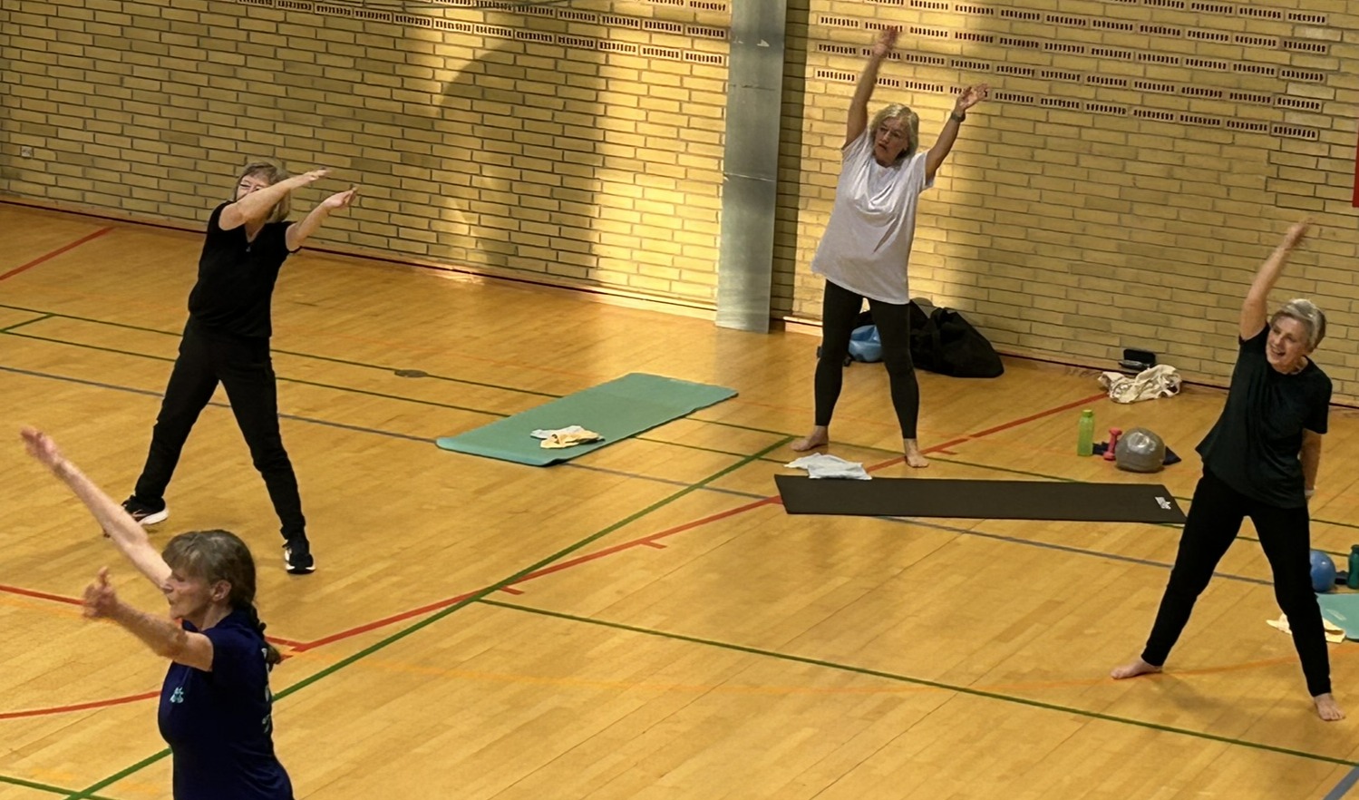 Columna gymnastik i Aale